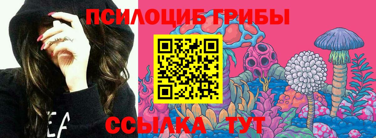 наркотики  Галлюциногенные грибы прущие грибы  Вход с VPN  Новокуйбышевск 