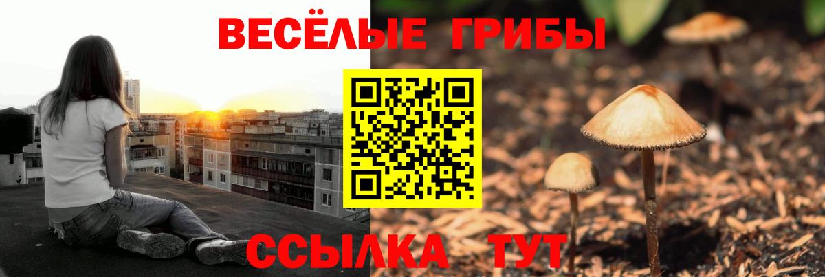 Галлюциногенные грибы GOLDEN TEACHER Новокуйбышевск